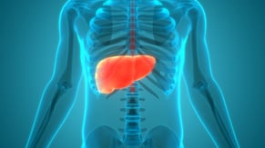 Liver Health