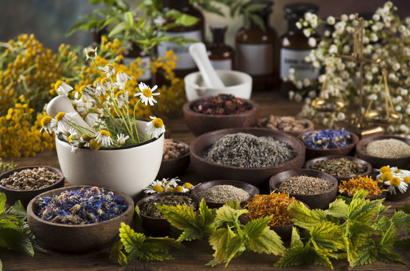 flowers and herbs