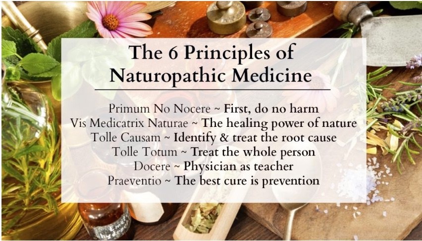 principles of naturopathic medicine